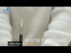 2/4/6/8/12/16/24 Çekirdekli Tek Modlu Dış Mekan Zırhlı G657A GYXTW Fiber Optik Kablo